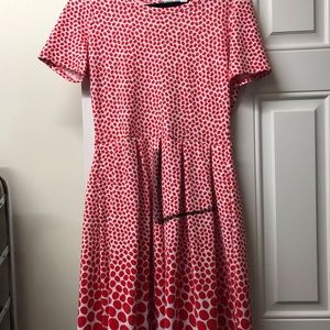 Lularoe Amelia